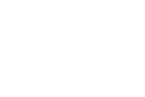 Partner 7